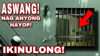 ASWANG NAG ANYONG HAYOP NAHULI NG MGA TAO AT IKINULONG [upl. by Renate361]