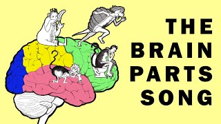 Parts of the Brain Song [upl. by Gabrielle]