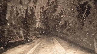 Relaxing Night on a Forest Road in the Mountains with Snow Falling amp Wind Blowing Through the Trees [upl. by Hannavas]