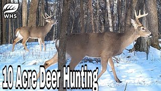 3 Best 10 Acre Deer Habitat Setups [upl. by Kirstyn]