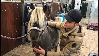 MEETING MY NEW HORSE FOR THE FIRST TIME MATT HARNACKE [upl. by Herr954]