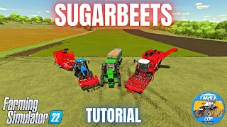 HOW TO GROW SUGARBEETS  Farming Simulator 22 [upl. by Nytsirt]