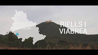 RIELLS I VIABREA [upl. by Alodee]