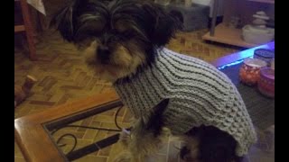 Tuto manteau pour chien au crochet AlextitiaTutoCrochet [upl. by Etti964]