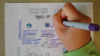 What Are Eosinophilassociated Diseases [upl. by Marriott]