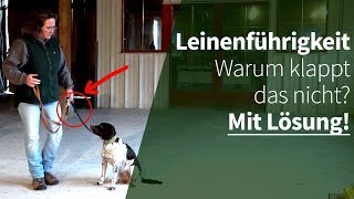 Leinenführigkeit  Warum klappt das nicht Mit Lösung [upl. by Ecnerwaled776]