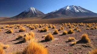 Altiplano Chileno [upl. by Litch833]