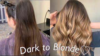 Hand Painted Balayage Ombre Technique  Dark to Blonde Tutorial [upl. by Peggy]