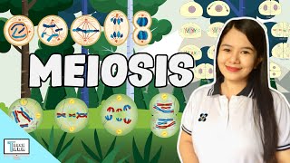 Meiosis  Biology [upl. by Ellered]