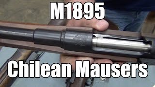 M1895 Chilean Mausers by DWM  Various Grades For Sale [upl. by Keavy]