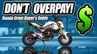 Ultimate Honda Grom Buyers Guide [upl. by Chew]