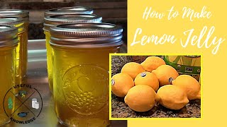 Lemon Jelly  Useful Knowledge [upl. by Rogerio]