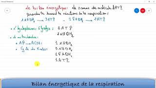 Bilan énergétique de la respiration [upl. by Torin]