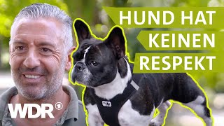 Hundebegegnungen entspannt gestalten  Hunde verstehen  S03E04  WDR [upl. by Nyrek]