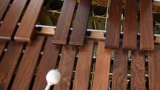 Malletech 46 marimba [upl. by Nitsur]