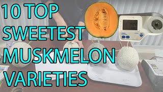 10 TOP SWEETEST MUSKMELON CANTALOUPE VARIETIES [upl. by Noryahs807]