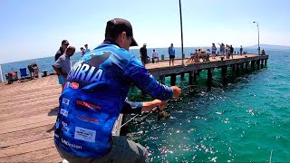 BIG FISH  JETTY FISHING [upl. by Darci112]