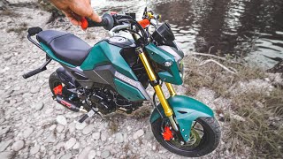 Building A Honda Grom In 48 Hours [upl. by Anasus881]