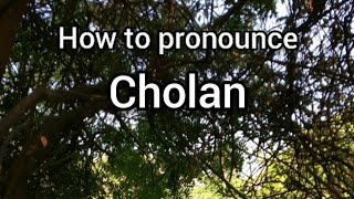 How to Pronounce Cholan [upl. by Enilrac572]