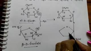 Disachharides Sucrose Maltose and Lactose Chemistry [upl. by Gower]