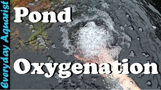 How To Aerate amp Oxygenate Your Pond [upl. by Schramke442]