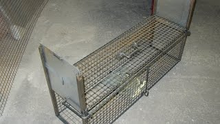 fabrication dun piège cage [upl. by Gnek]