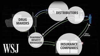 How Drug Prices Work  WSJ [upl. by Haynor]