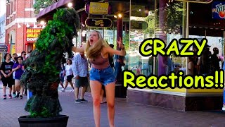 Bushman Prank 2021 Love Laughter amp Screams [upl. by Anua]