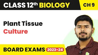 Plant Tissue Culture  Strategies for Enhancement in Food Production  Class 12 Biology 202223 [upl. by Jarid542]