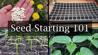 How To Start Vegetable Seeds  The Definitive Guide For Beginners [upl. by Nylsirhc]