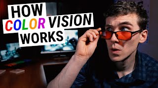 How COLOR VISION Works Types of Color Blindness Genetics amp Disease [upl. by Niamor]