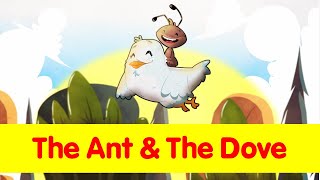 The ant amp the dove  Toyor Baby English [upl. by Pablo]