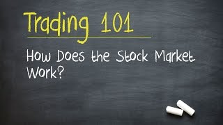 Trading 101 How Does the Stock Market Work [upl. by Fafa970]