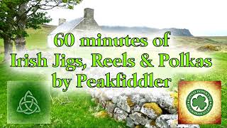 60 minutes Irish Jigs Reels amp Polkas [upl. by Leanahtan]