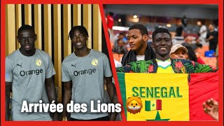 Arrivée des Lions 🦁 à Dakar [upl. by Yadroc920]