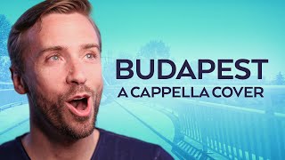 George Ezra  Budapest  Peter Hollens Acappella Cover [upl. by Niraj]