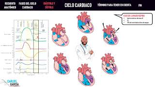 Fisiología — Ciclo Cardiaco Llenado Eyección Contracción [upl. by Bergeron206]