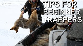 Coyote Trapping Tips For Beginners [upl. by Meuse]