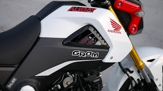 Honda Grom Performance Upgrades [upl. by Hgielsel404]