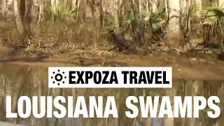 Louisiana Swamps USA Vacation Travel Video Guide [upl. by Ubald]