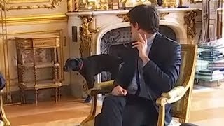 Emmanuel Macron’s dog urinates in fireplace during meeting [upl. by Emmanuel]