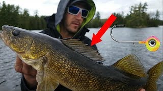 The ONLY Technique You Need  Ontario Walleye Fishing [upl. by Adnor]