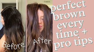 How to DIY the perfect natural brown  NO RED NO Bleach  pro stylist method [upl. by Emlynn921]