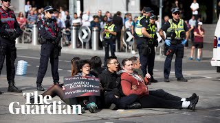 Vegan protesters raid farms and stage blockades around Australia [upl. by Lladnor]