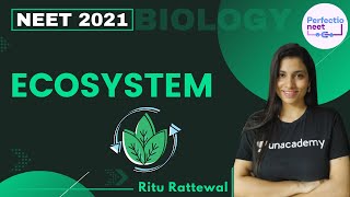 Ecosystem  NEET Biology  NEET 2021  Ritu Rattewal [upl. by Jarita]