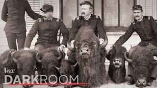 Why the US Army tried to exterminate the bison [upl. by Arzed222]