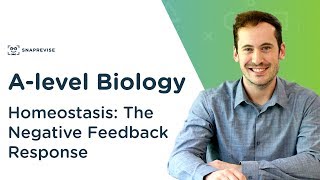 Homeostasis The Negative Feedback Response  Alevel Biology  OCR AQA Edexcel [upl. by Namrej]