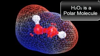 Is H2O2 Polar or Nonpolar [upl. by Delfine776]