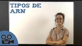 Tipos de ARN [upl. by Susejedairam]