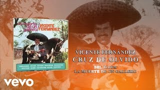 Vicente Fernández  Cruz de Olvido Cover Audio [upl. by Swanhilda]